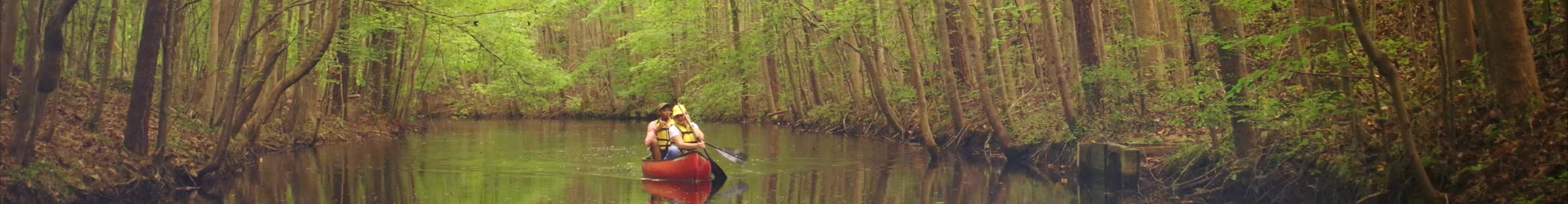 Header Slideshow1 6E0b4303 Bc85 43Dc 9E36 53De22b534ef (1)